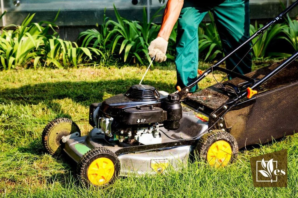 Picture of: Can You Use Car Oil In A Lawn Mower: All About Engine Oils