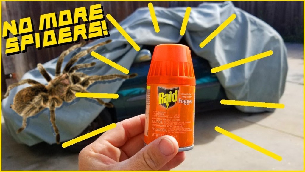 Picture of: How to Get Rid of Bugs in Your Car! [] Easy and Cheap []